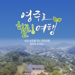 경북e누리 영주 부석사+소수서원+소백산풍기온천